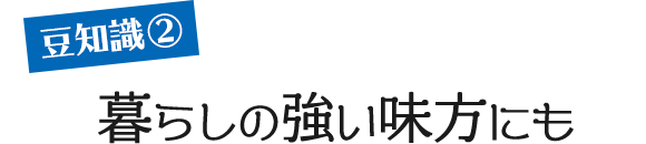 豆知識：暮らしの強い味方にも