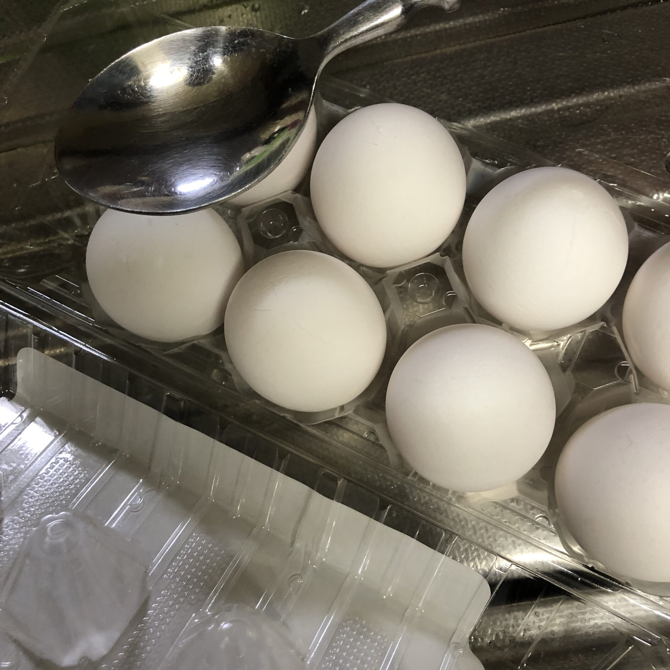 ゆで卵 名大社 スタッフブログ