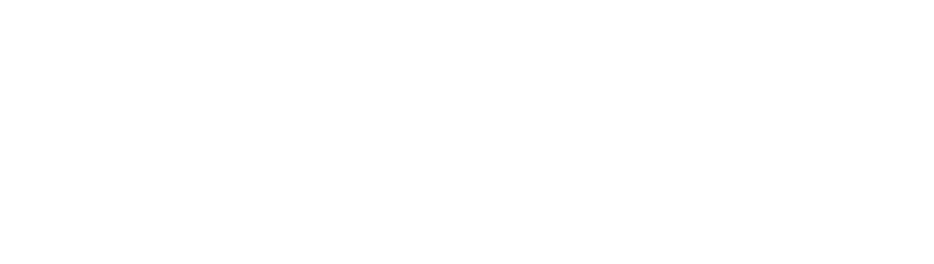 岐阜市はこんなまち